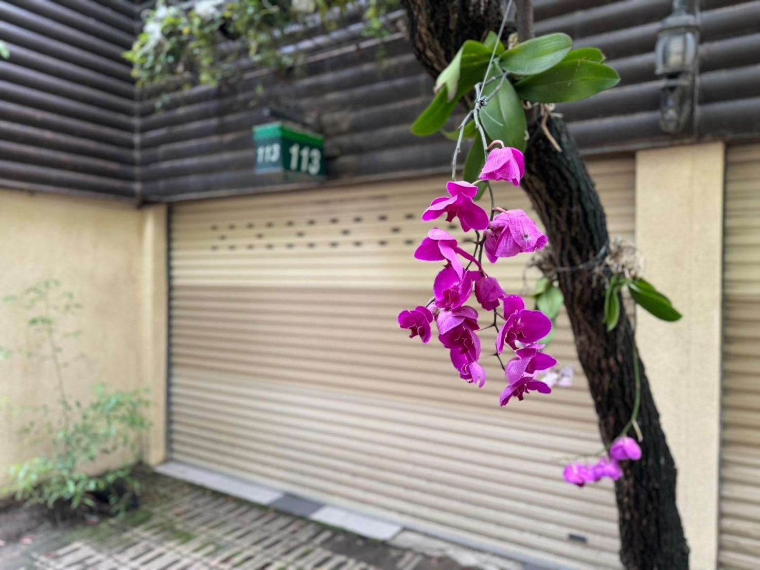 Ivy Motel Chiayi City Dış mekan fotoğraf