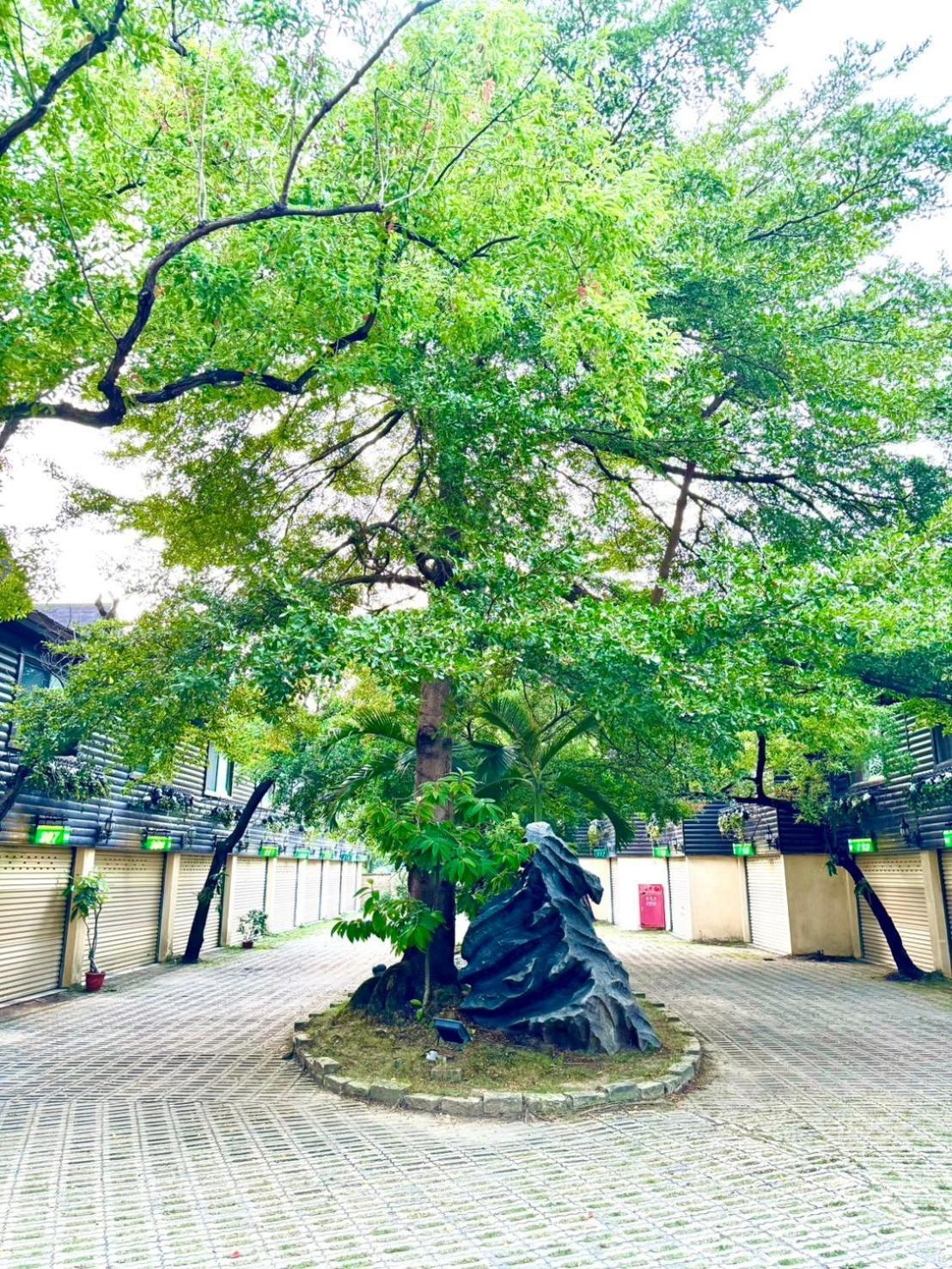 Ivy Motel Chiayi City Dış mekan fotoğraf